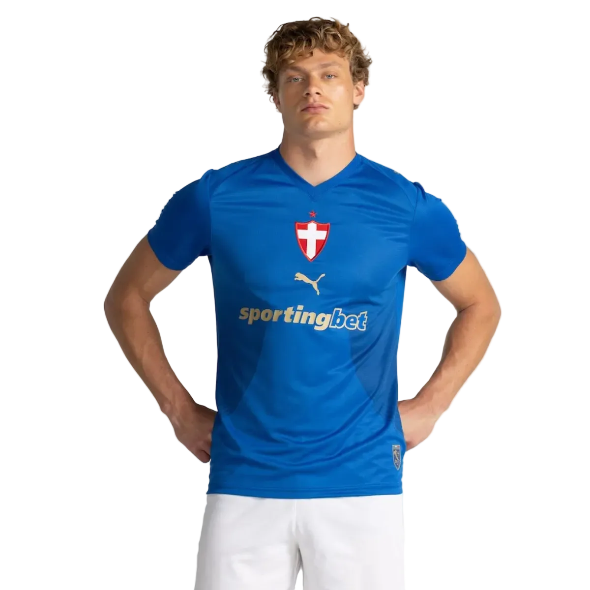 Palmeiras Third Fan Jersey 2026-2027